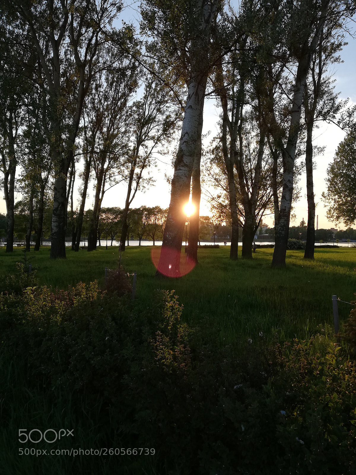 HUAWEI P20 lite sample photo. Untitled photography