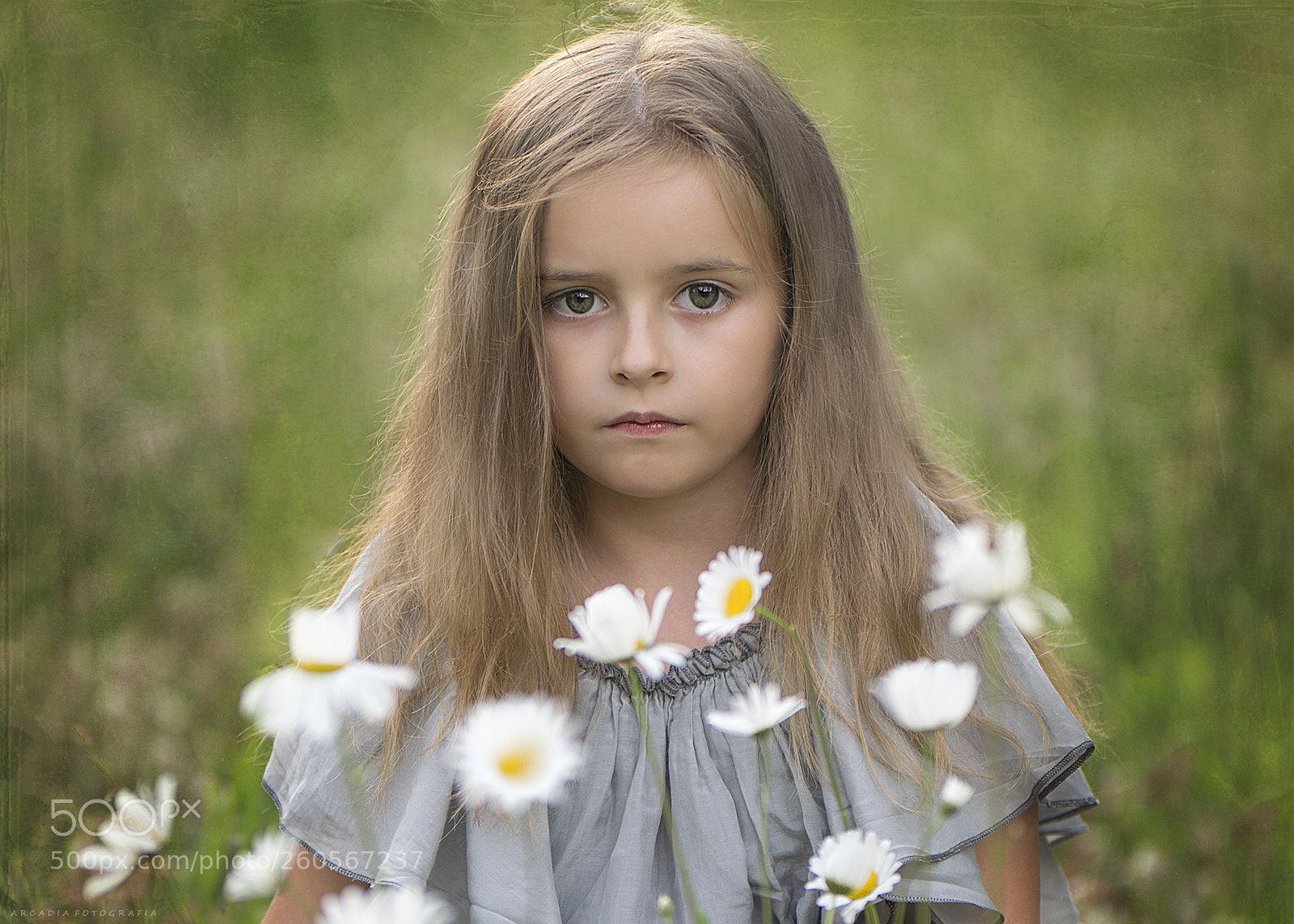 Nikon D5300 sample photo. . photography