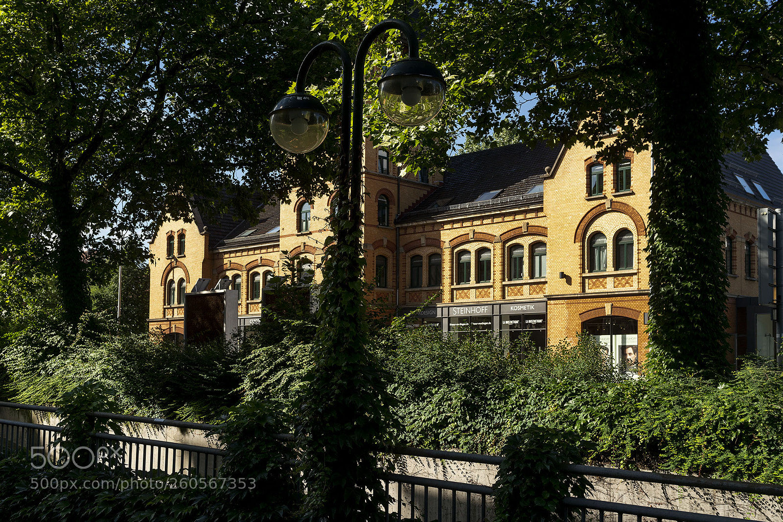 Sony a7R II sample photo. Reutlingen 020618-020 photography