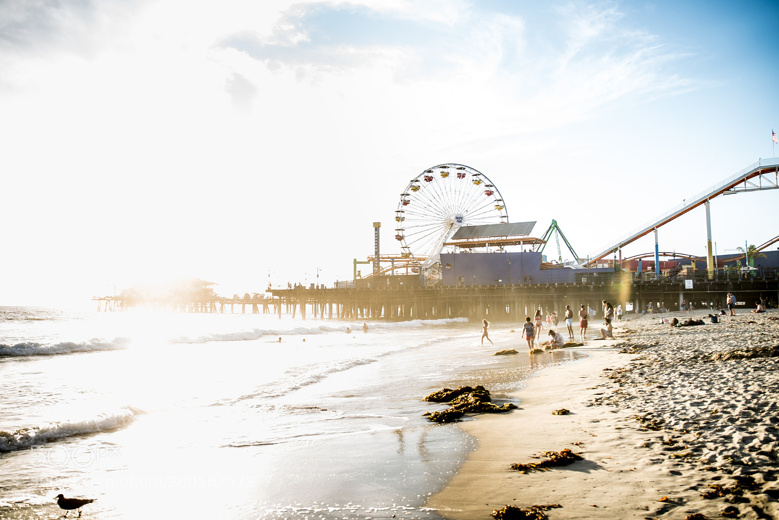 Nikon D610 sample photo. Santa monica pier at photography
