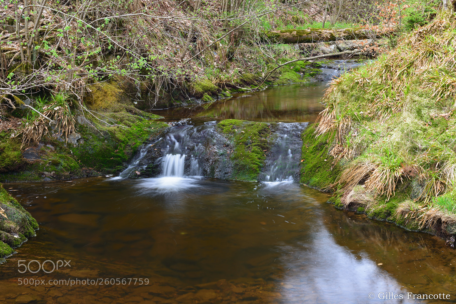 Nikon D800 sample photo. Creek photography