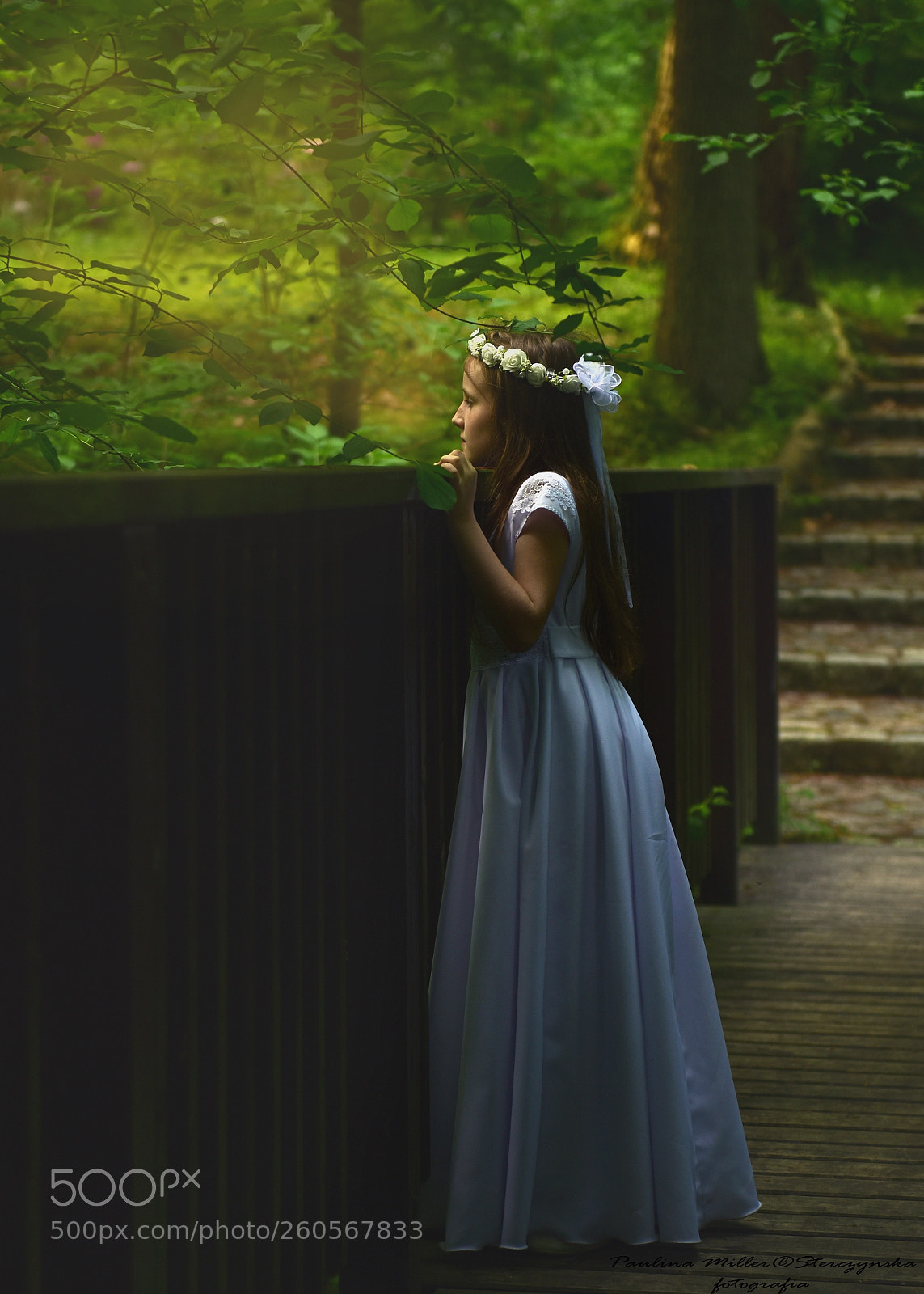 Nikon D810 sample photo. Untitled photography