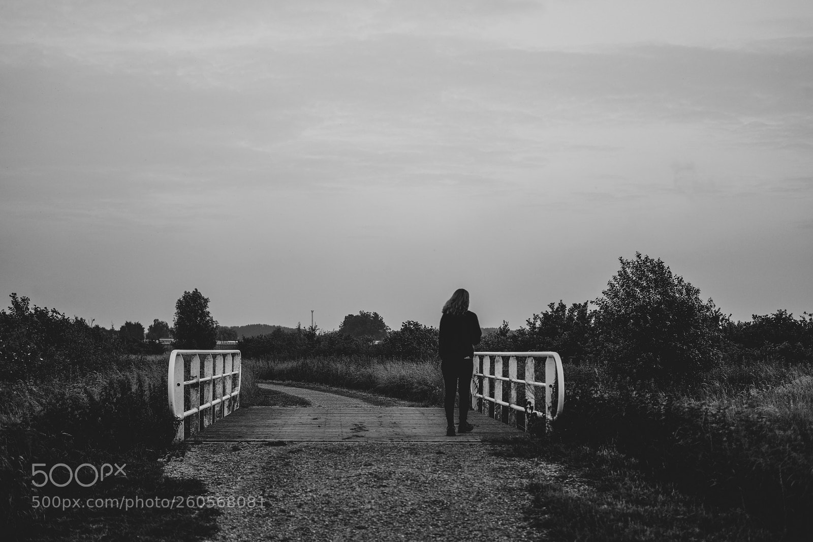 Fujifilm X-Pro2 sample photo. The bridge photography