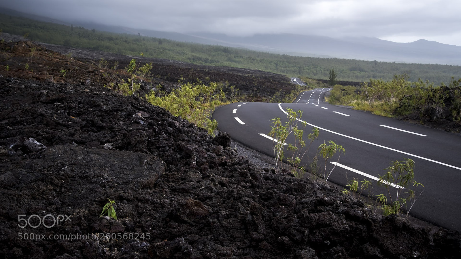 Nikon D750 sample photo. Route des laves photography