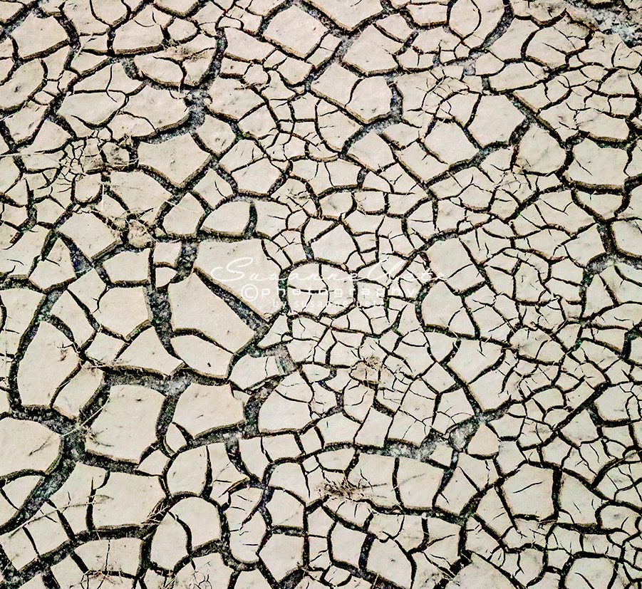 Canon EOS M10 sample photo. Mud photography