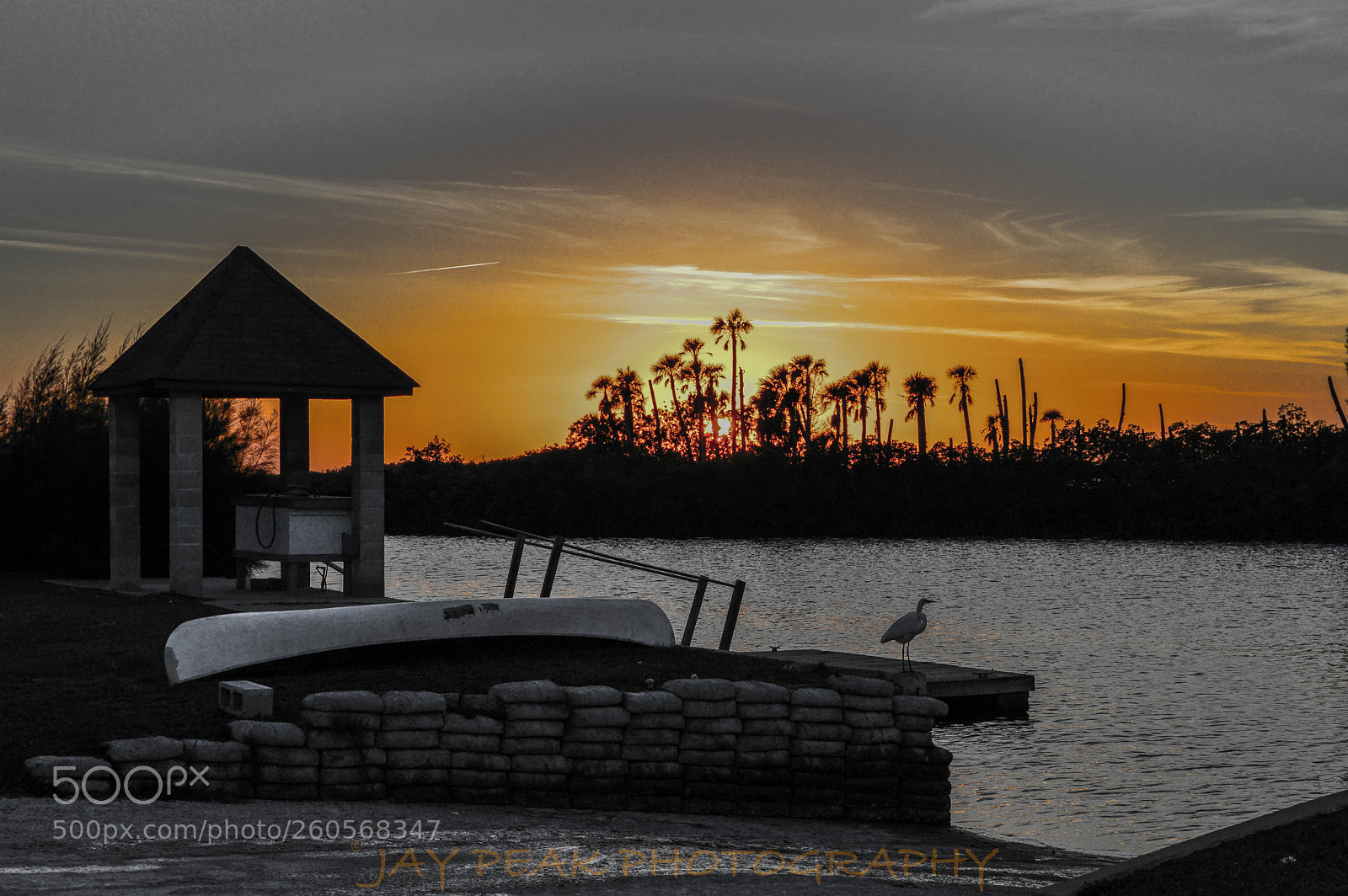 Nikon D3200 sample photo. Anticipation with color photography