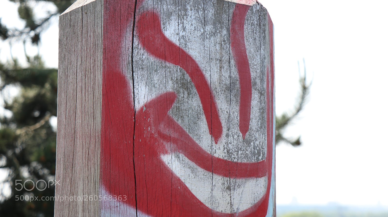 Canon EOS 80D sample photo. Untitled photography
