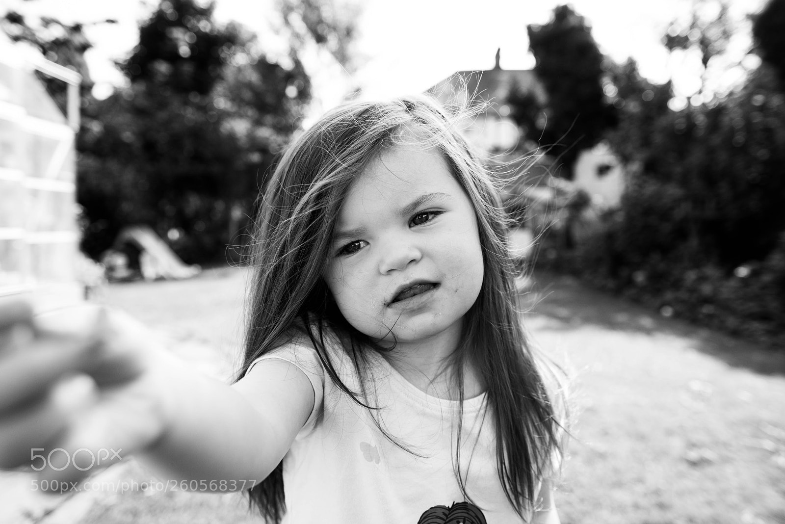 Nikon D800E sample photo. Wonder photography