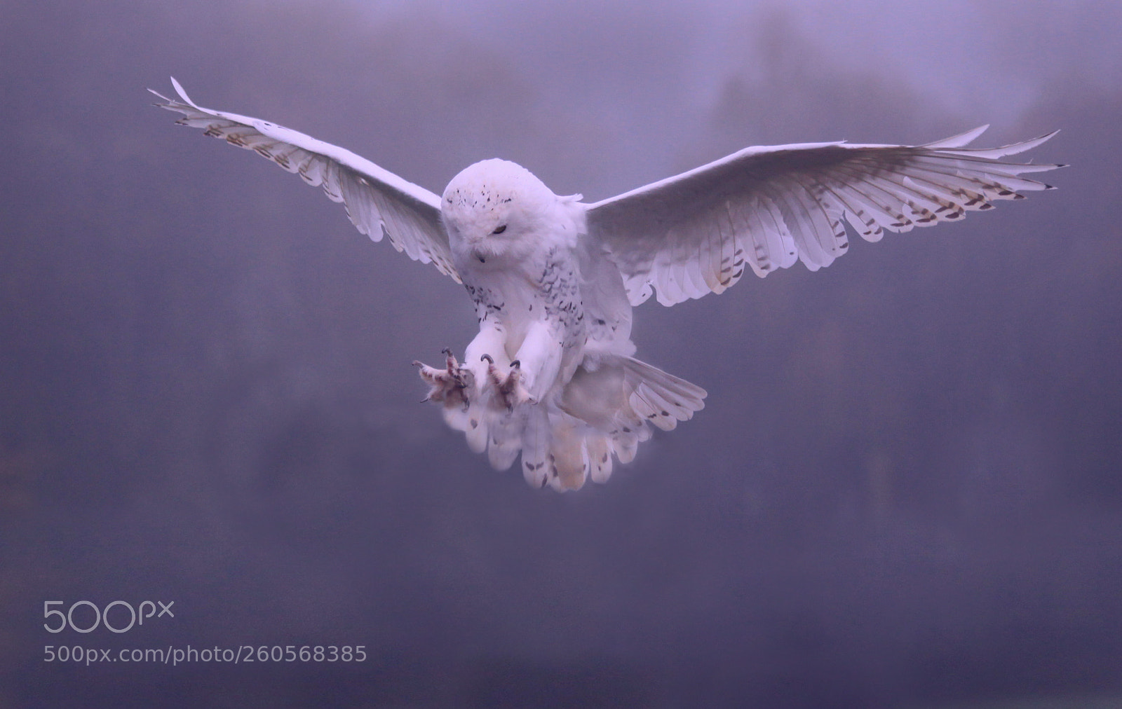 Canon EOS 5D Mark II sample photo. Morning landing photography