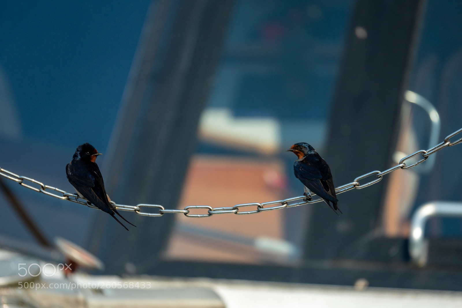Panasonic Lumix DMC-GH4 sample photo. Untitled photography