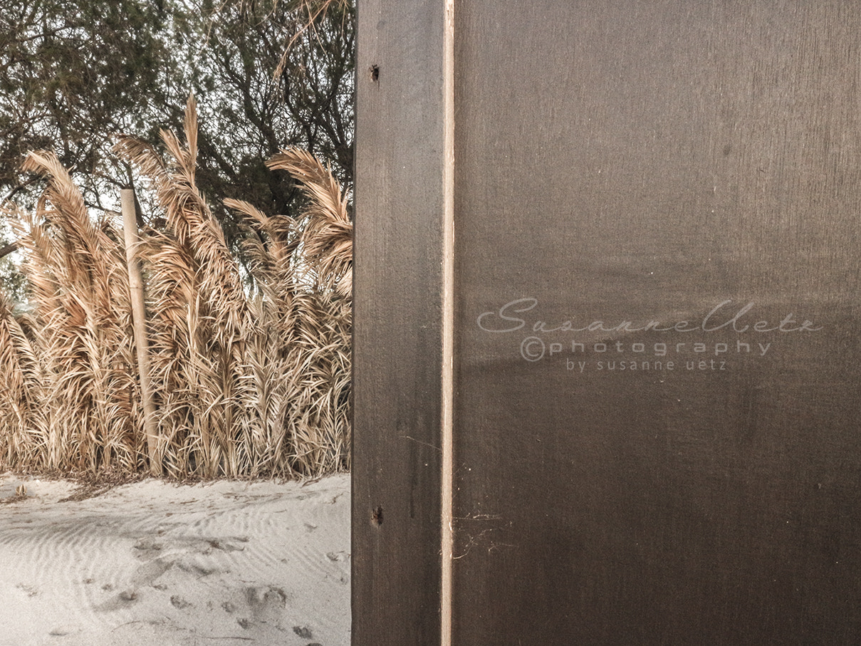 Canon EOS M10 sample photo. View to the beach photography