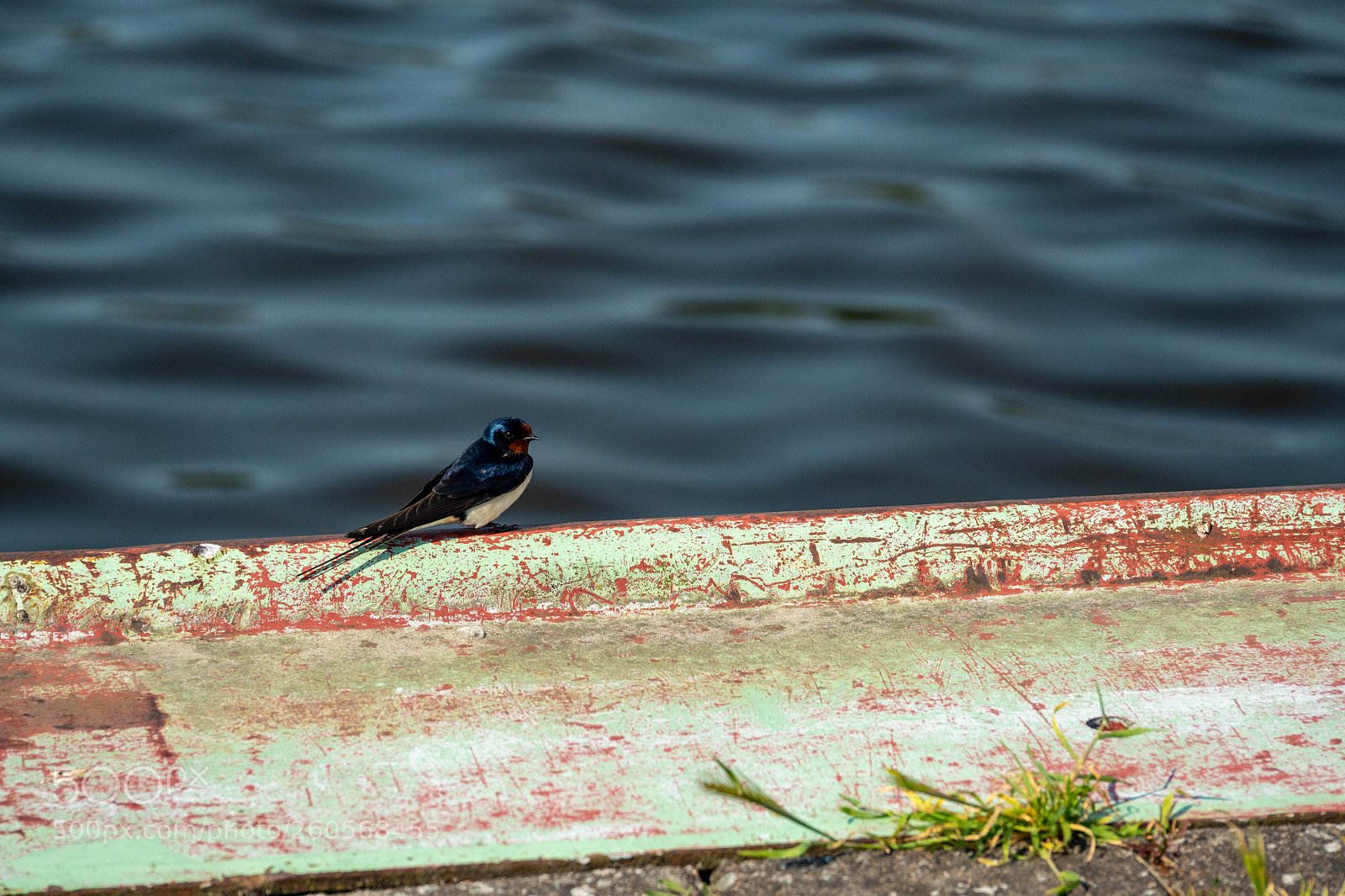 Panasonic Lumix DMC-GH4 sample photo. Untitled photography