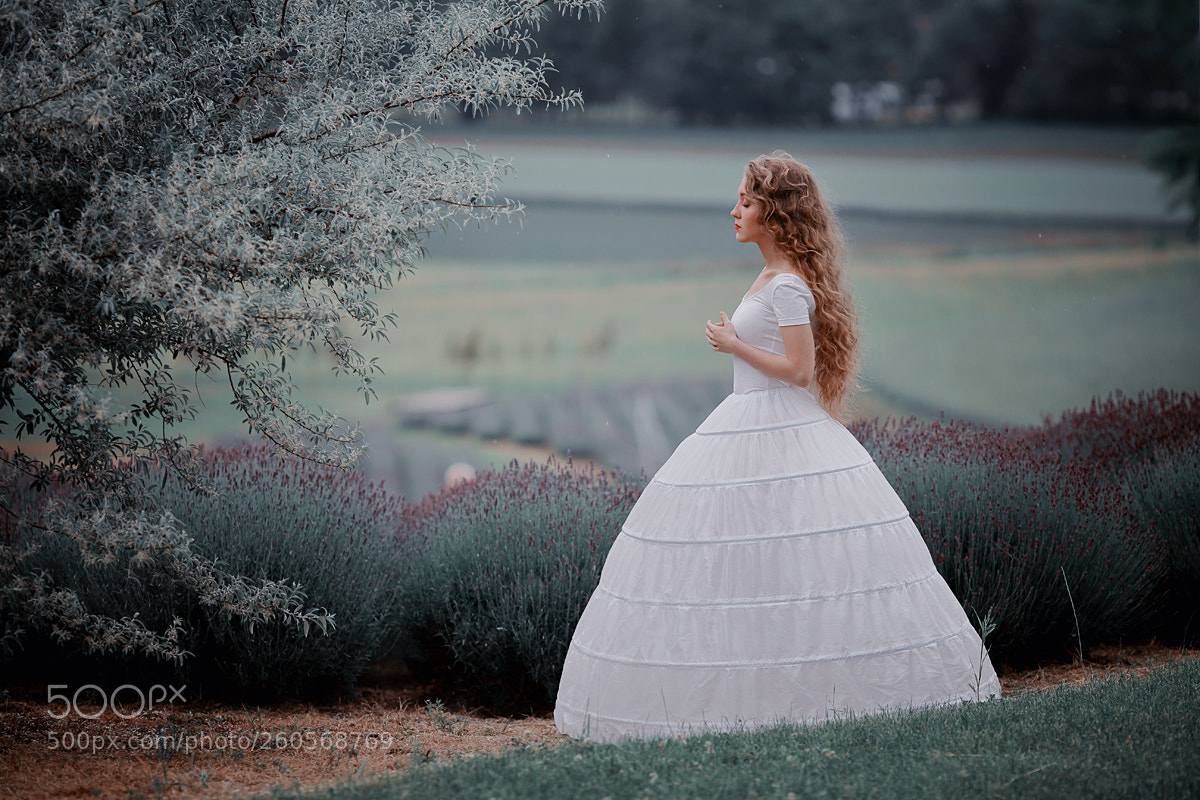 Canon EOS 5D Mark II sample photo. Lavender day photography
