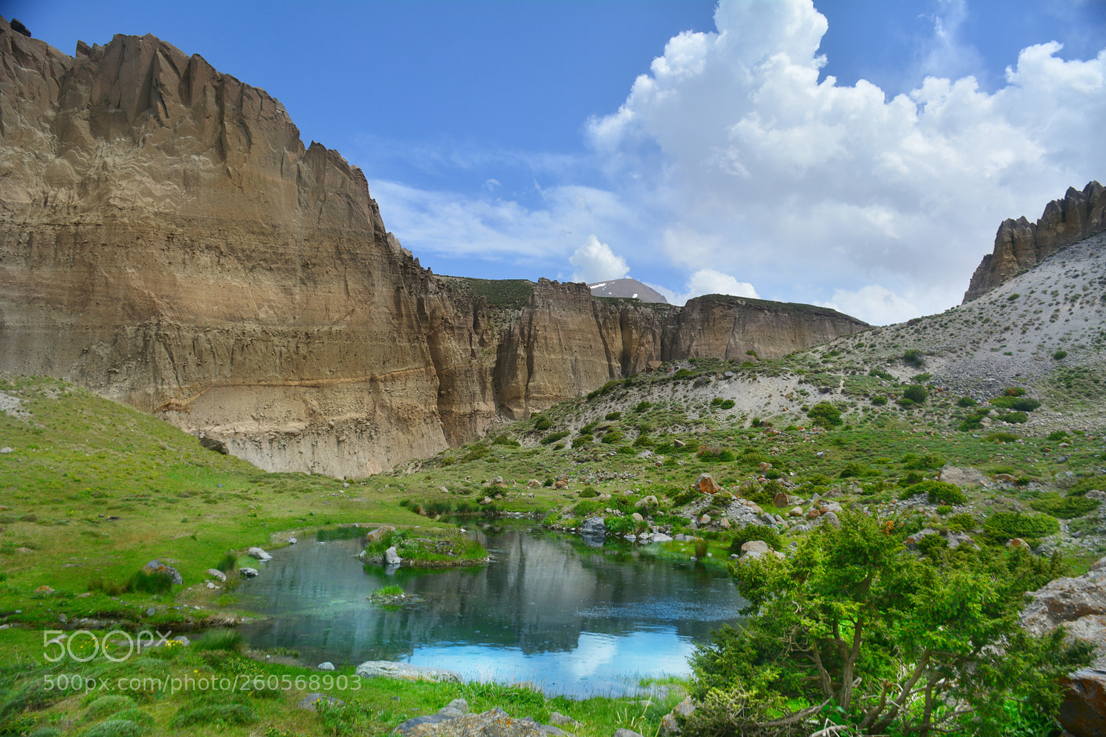 Nikon D5200 sample photo. Untitled photography