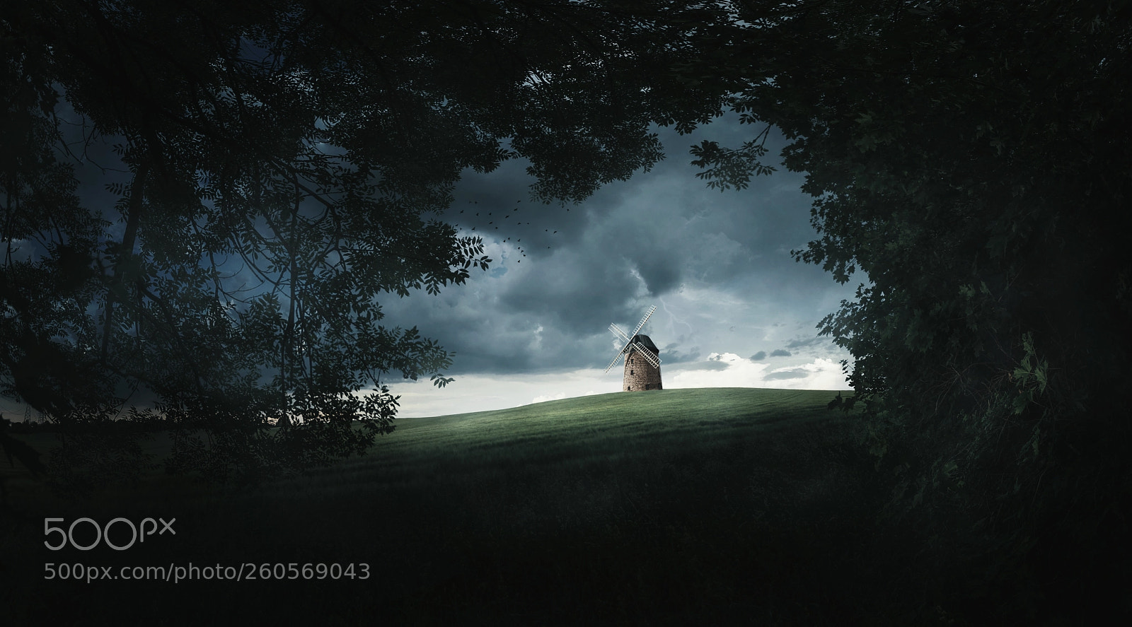 Nikon D7100 sample photo. Windmill photography
