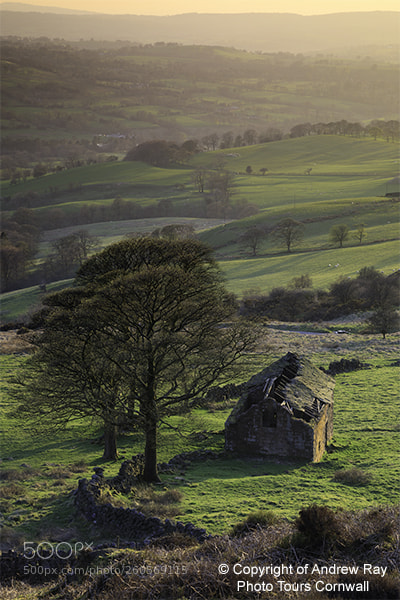 Canon EOS 5D Mark IV sample photo. Evening light at roach photography