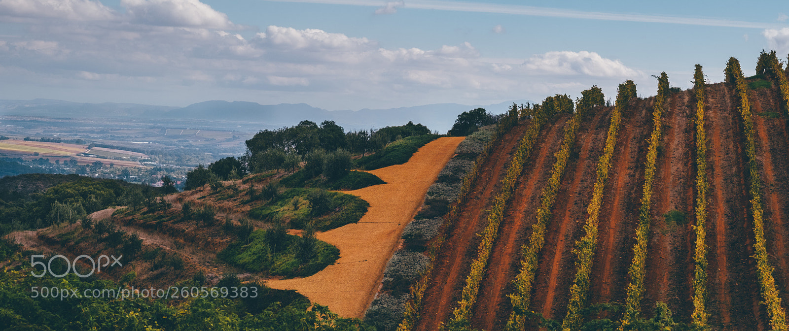 Fujifilm X-T2 sample photo. Stellenbosch winelands photography