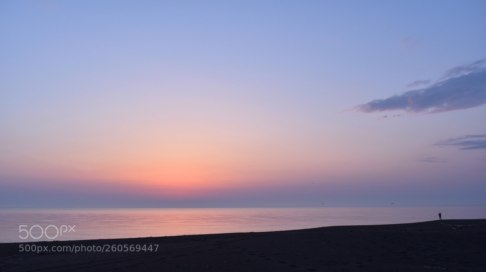Nikon D5500 sample photo. 朝釣り photography