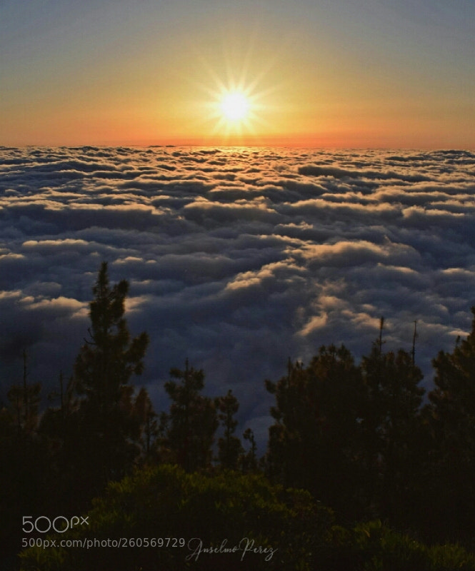 Nikon D5300 sample photo. Magic sunset photography