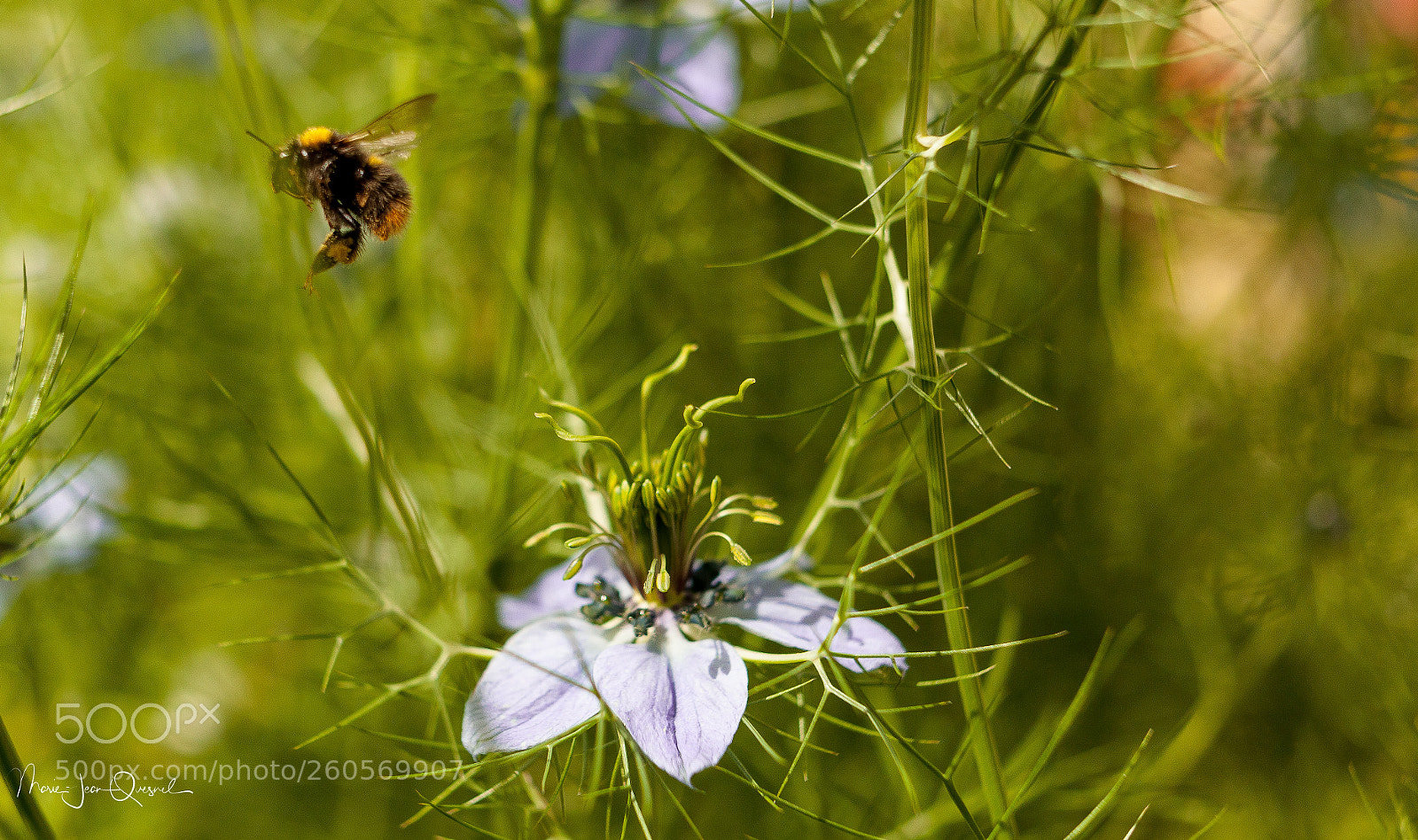 Canon EOS 5D Mark II sample photo. Cherchons un lieux de photography