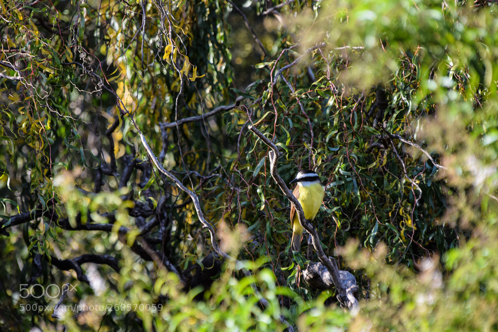 Nikon D5300 sample photo. Sin título photography
