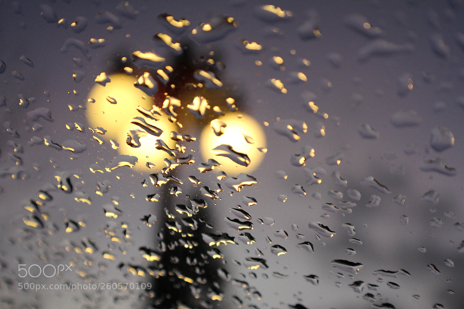 Canon EOS 550D (EOS Rebel T2i / EOS Kiss X4) sample photo. Rain photography