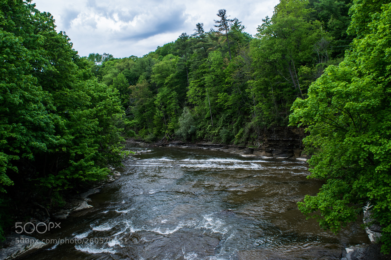 Nikon D3300 sample photo. River on the cornell photography