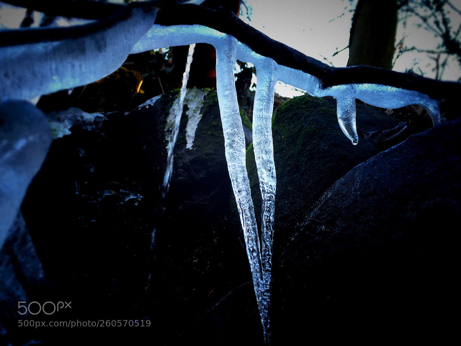 Apple iPhone 6 sample photo. Icicle in the cold photography