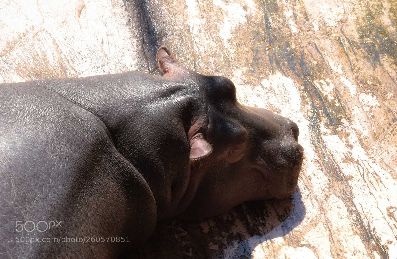 Nikon D3300 sample photo. Untitled photography