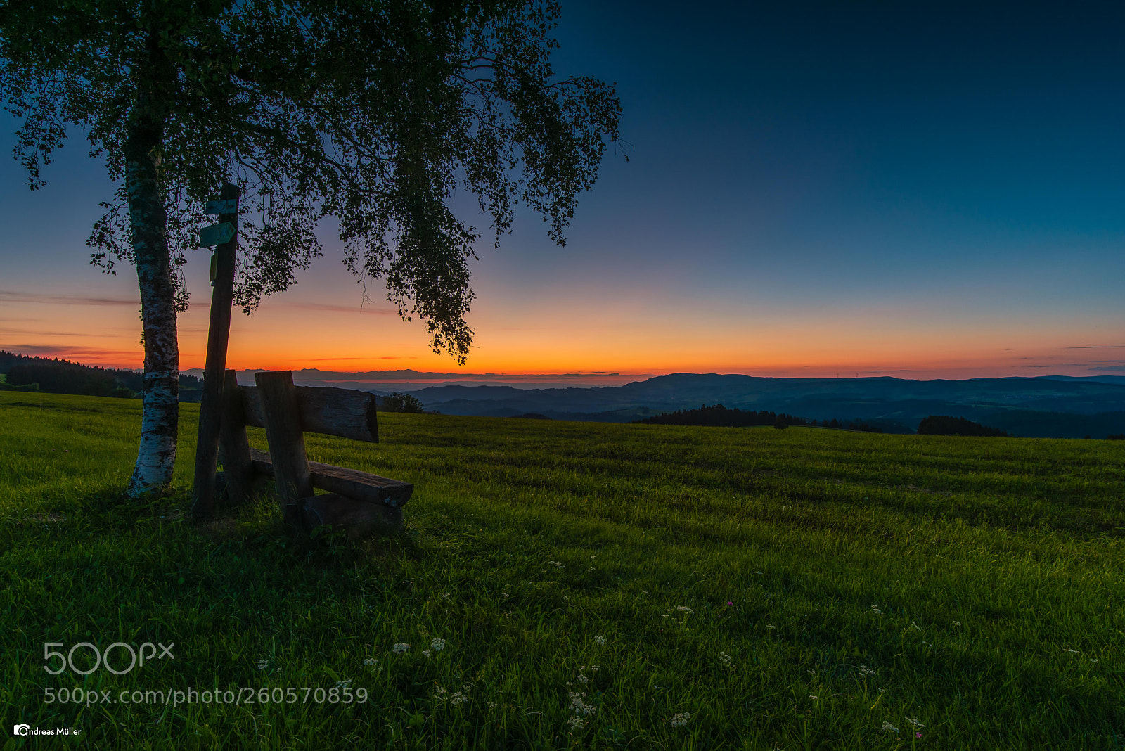 Nikon D810 sample photo. Abendstunde bei breitnau photography