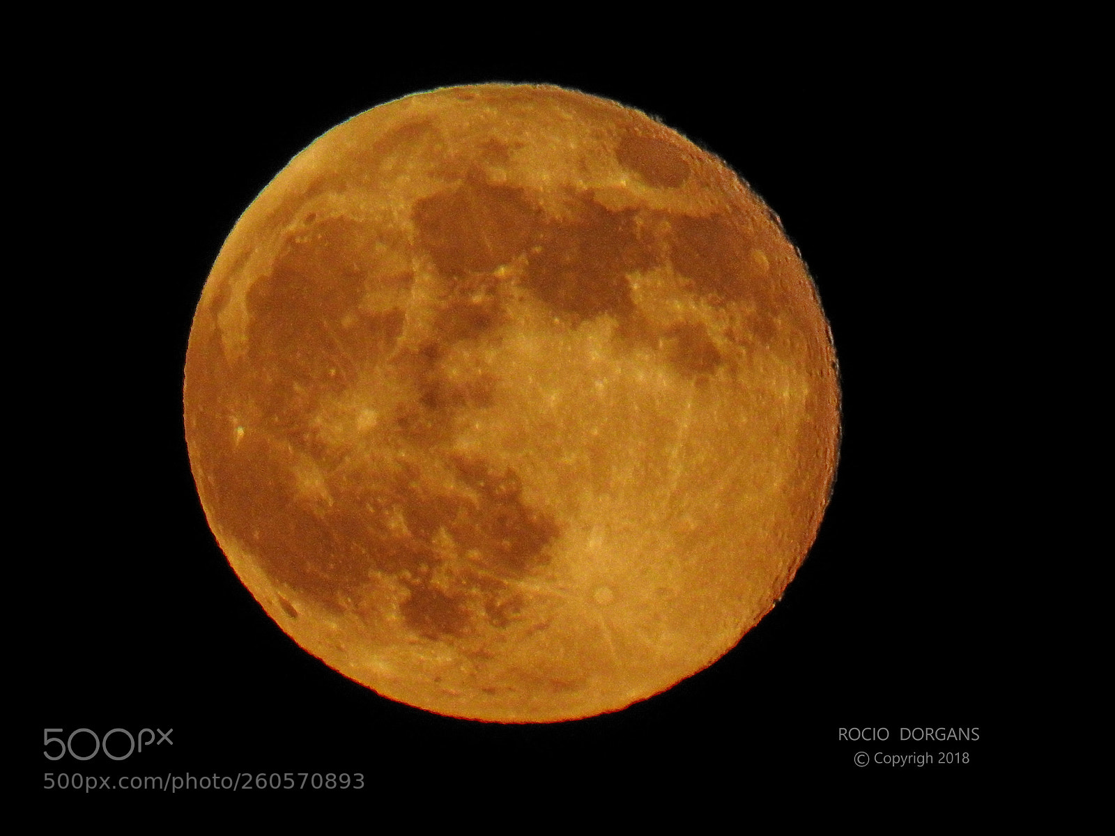 Nikon Coolpix P900 sample photo. Moon yellow photography