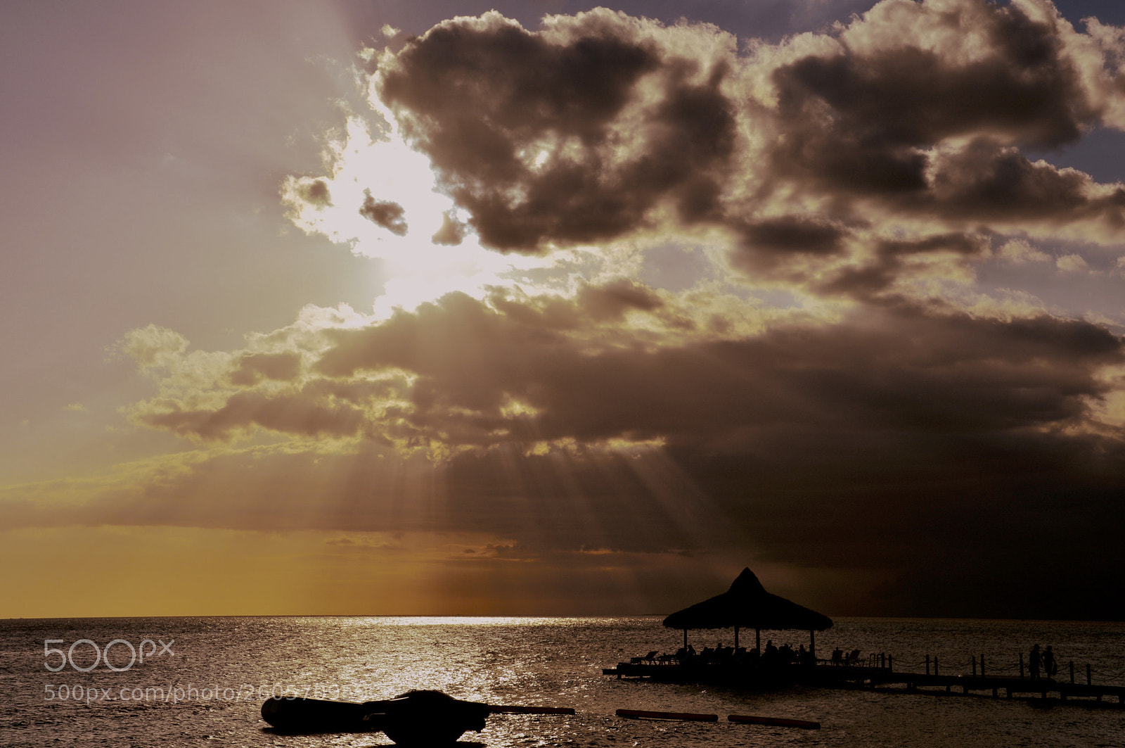 Nikon D3200 sample photo. Afternoon photography
