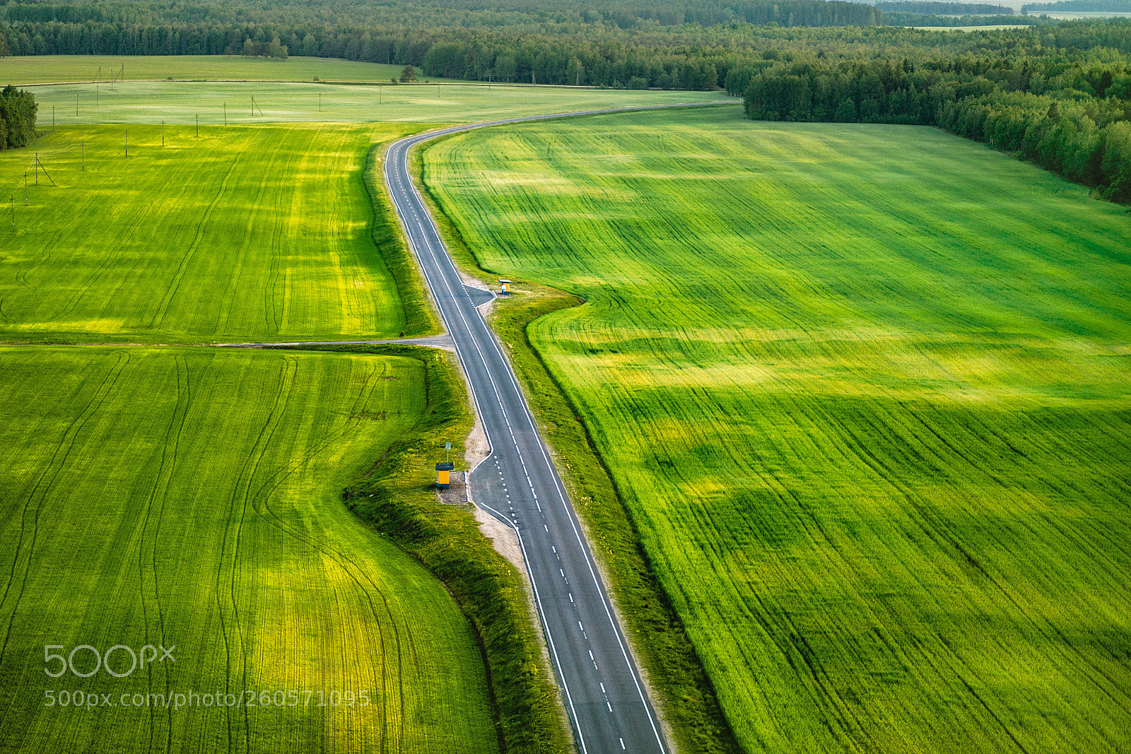 Canon EOS 5D Mark IV sample photo. Aerial view to road photography