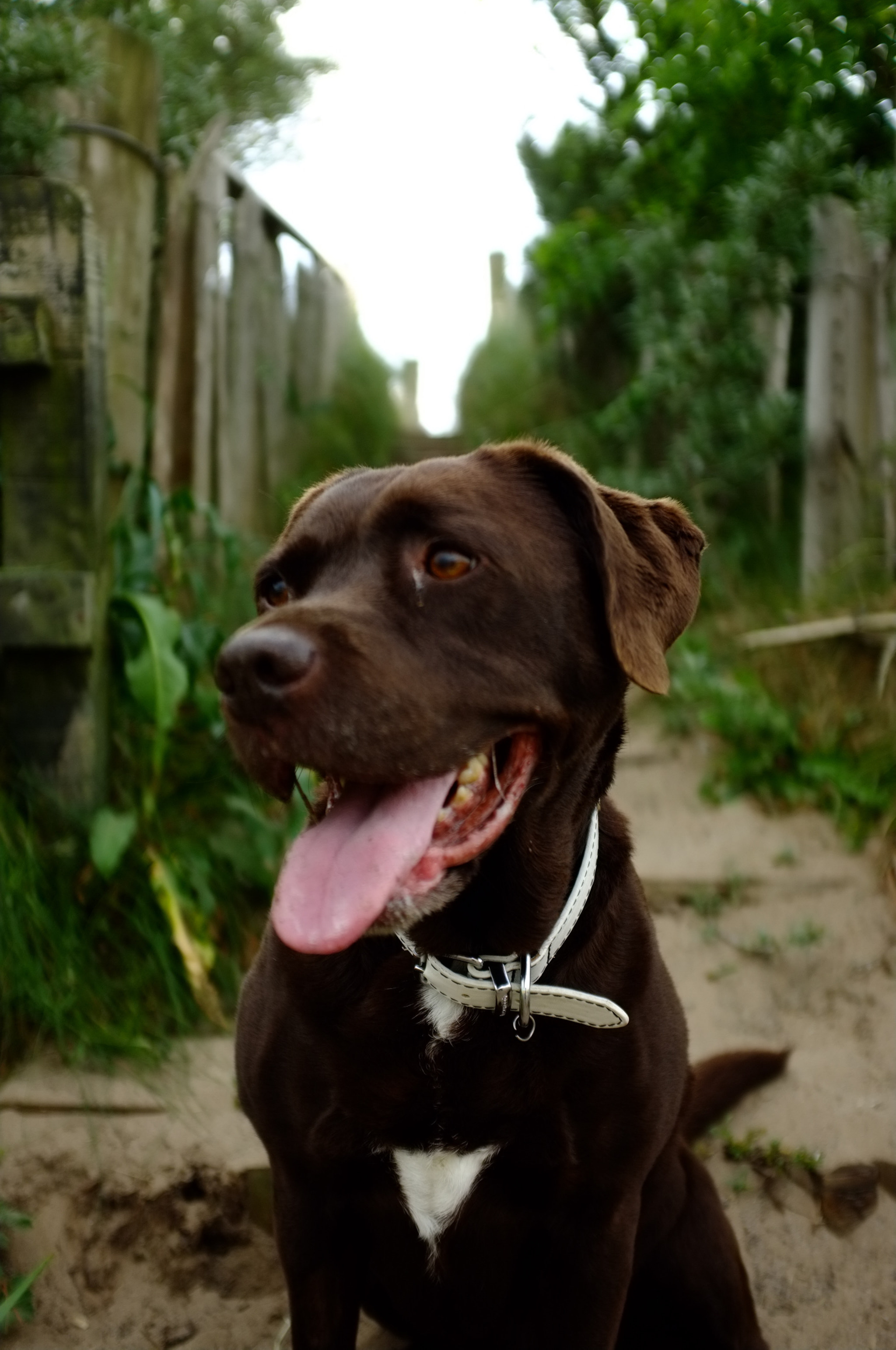 Fujifilm FinePix X100 sample photo. Lab photography