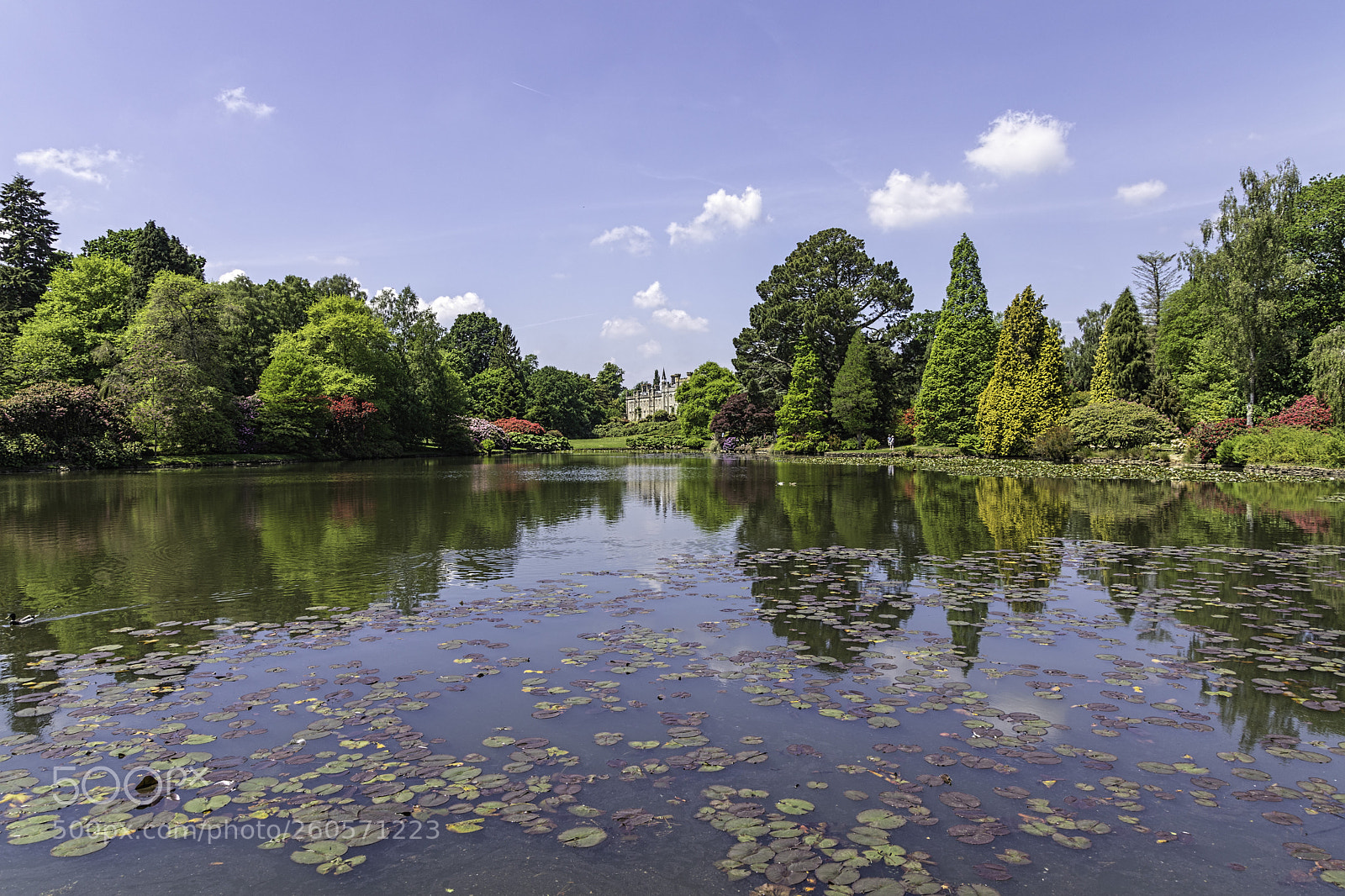 Canon EOS 5D Mark IV sample photo. Lake reflection photography