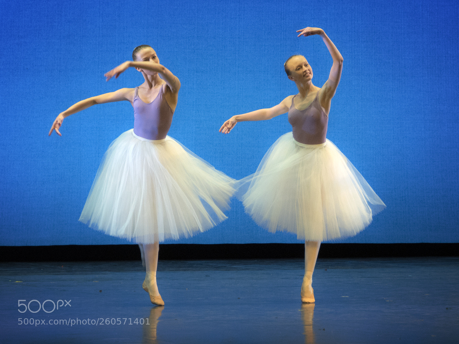 Panasonic Lumix DMC-FZ1000 sample photo. Ballerinaer photography