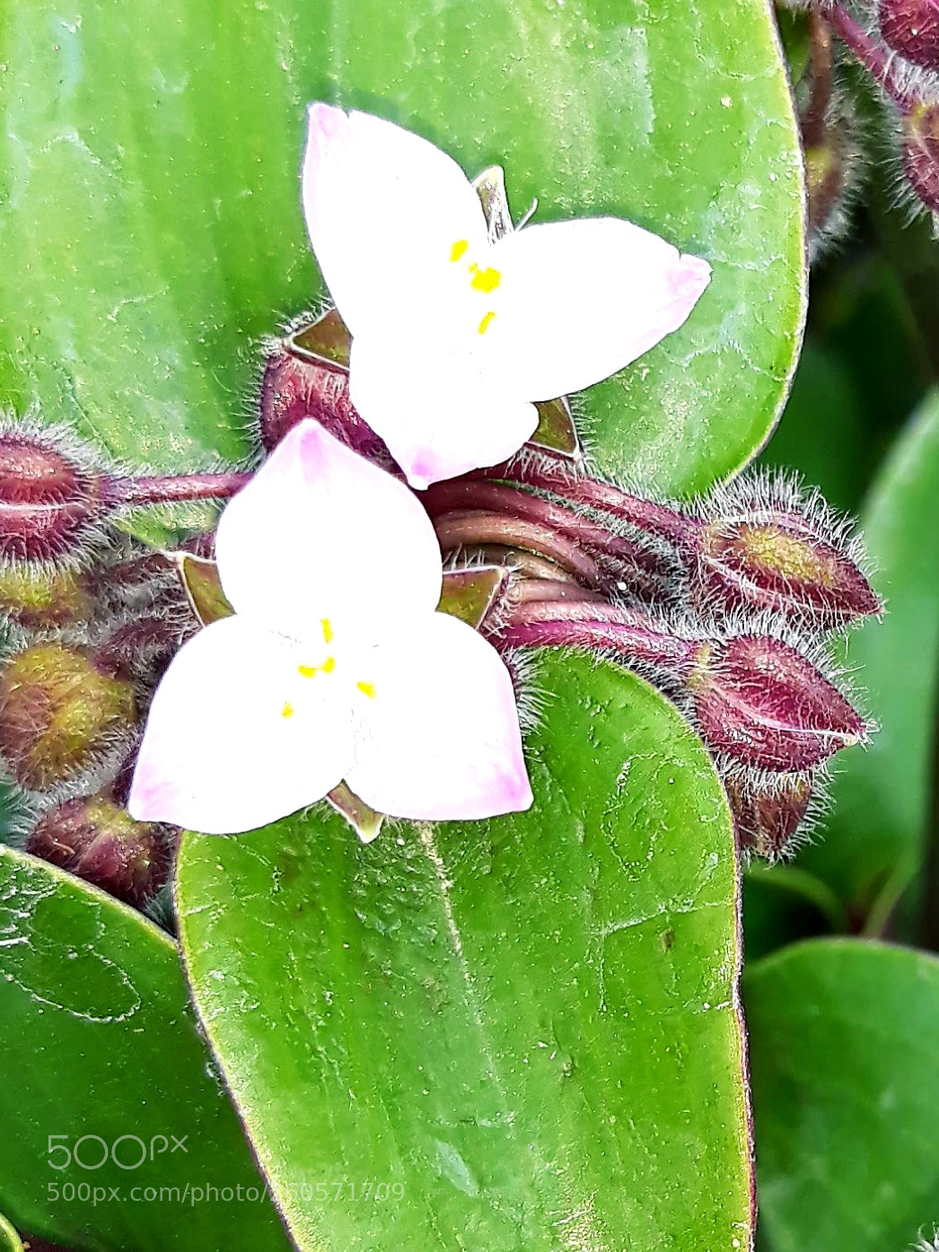 Samsung Galaxy J5 sample photo. Untitled photography