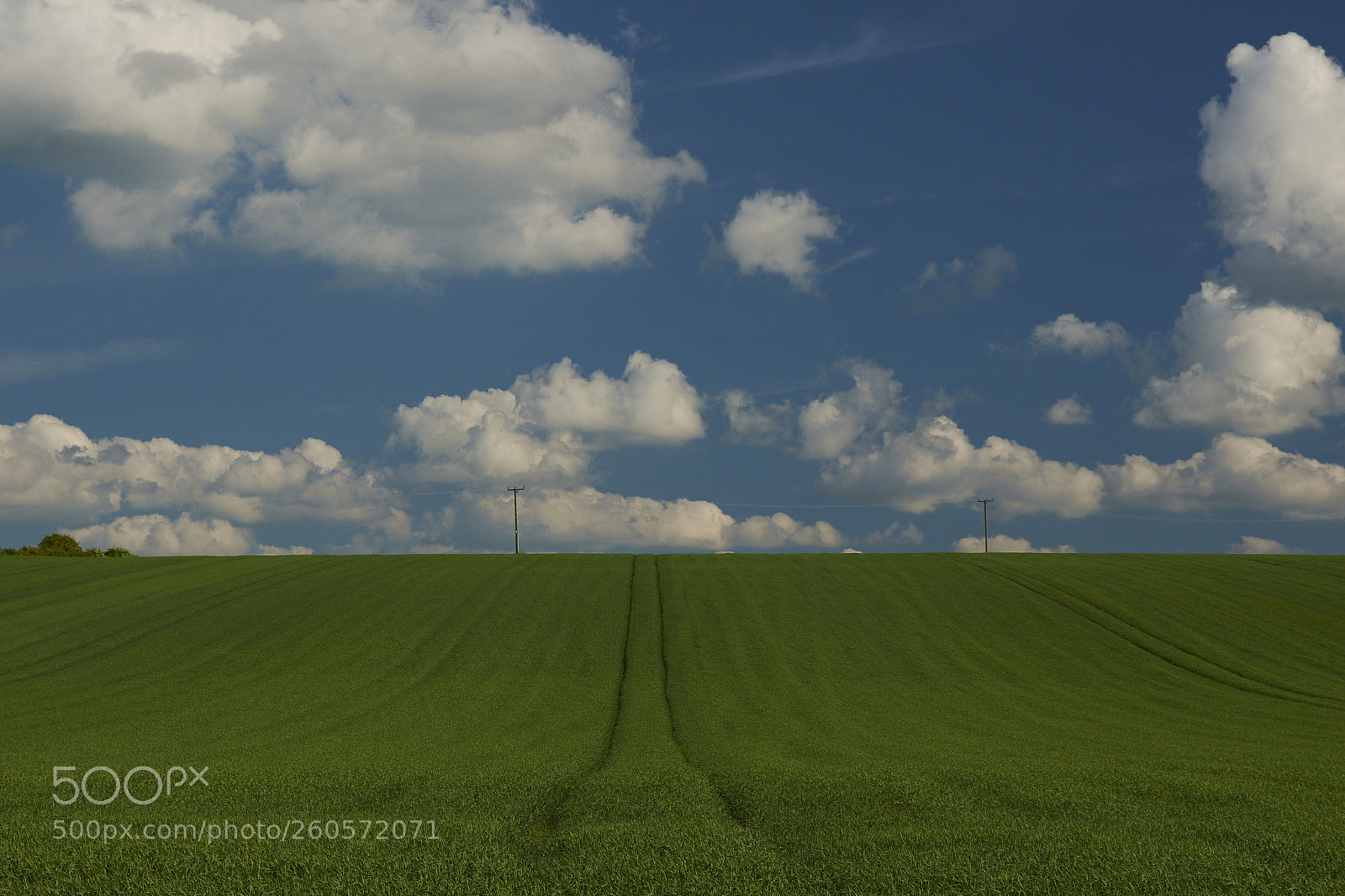 Nikon D7200 sample photo. Rural england photography