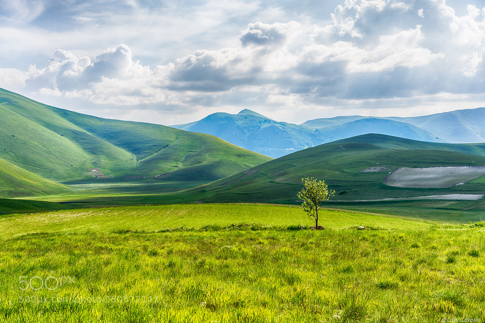 Sony a7R III sample photo. Lonely on the pian photography
