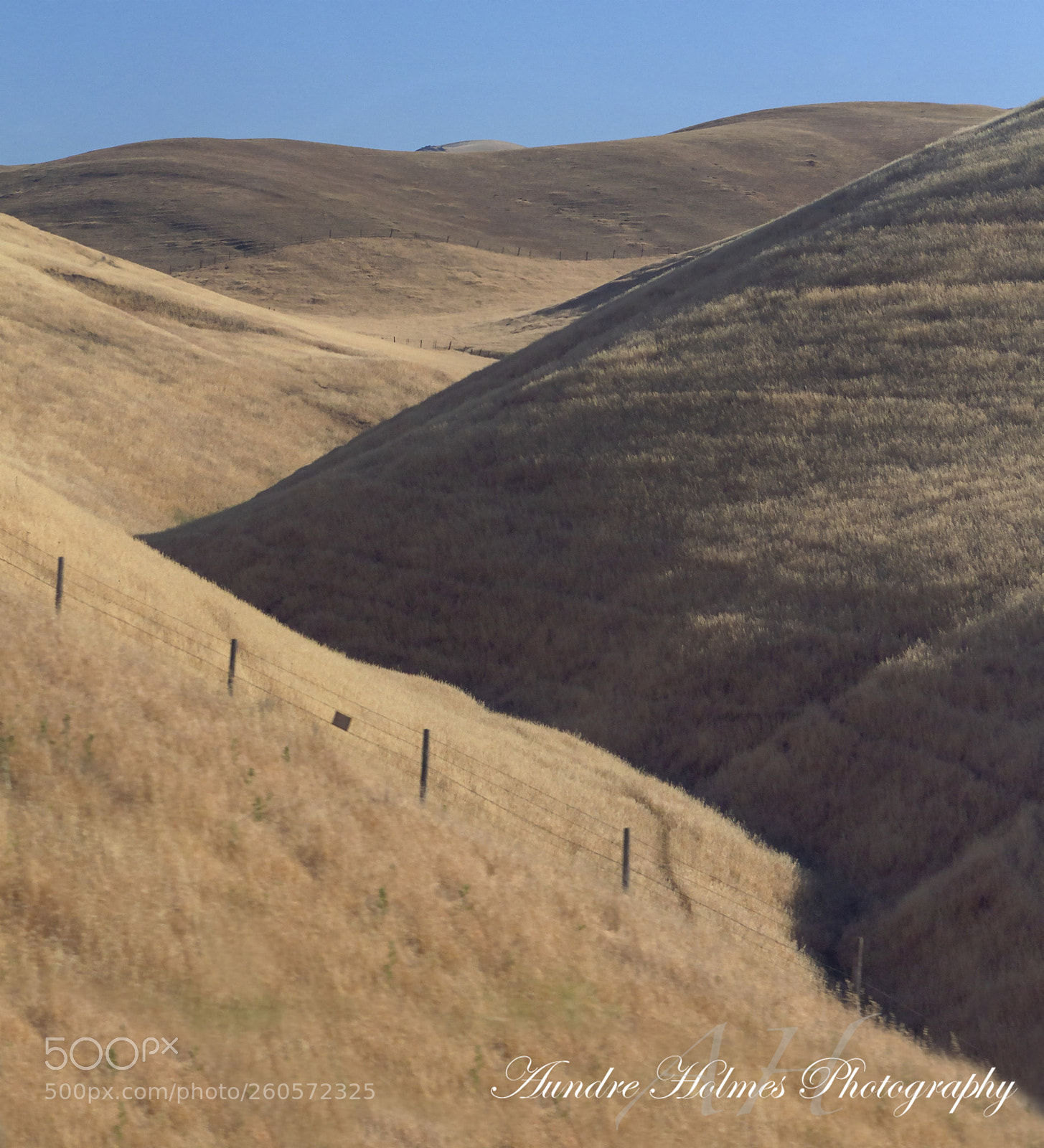 Canon EOS 7D sample photo. Stockton grasslands photography