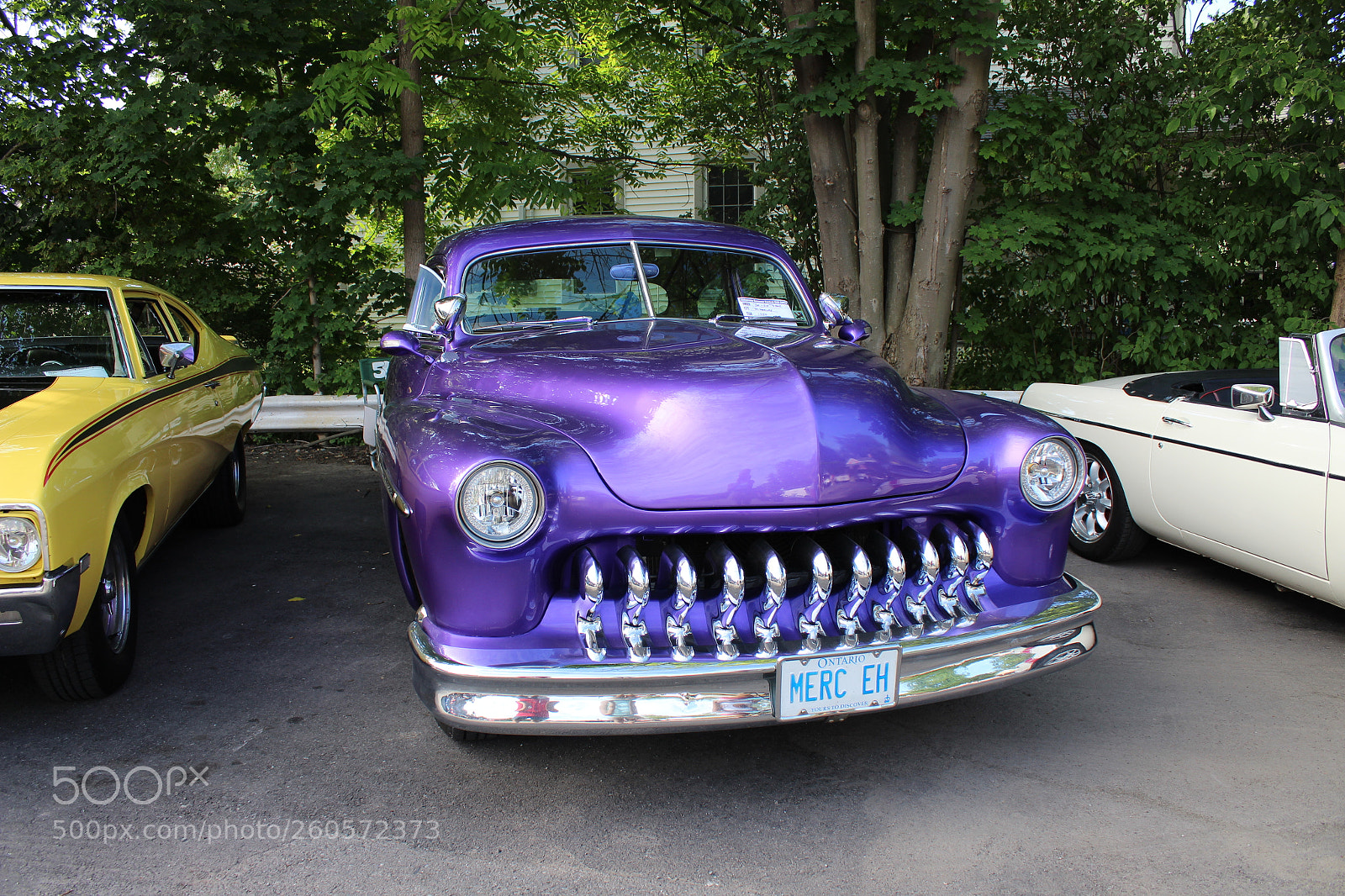 Canon EOS 1300D (EOS Rebel T6 / EOS Kiss X80) sample photo. Purple beauty photography