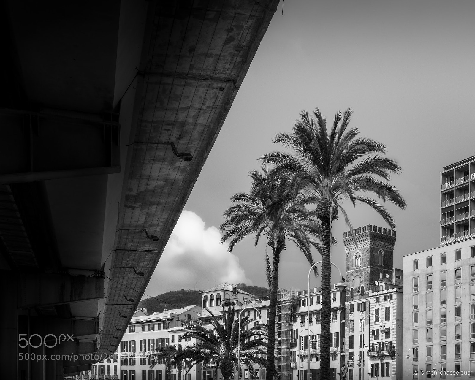 Fujifilm X-T2 sample photo. Brige and palm trees photography