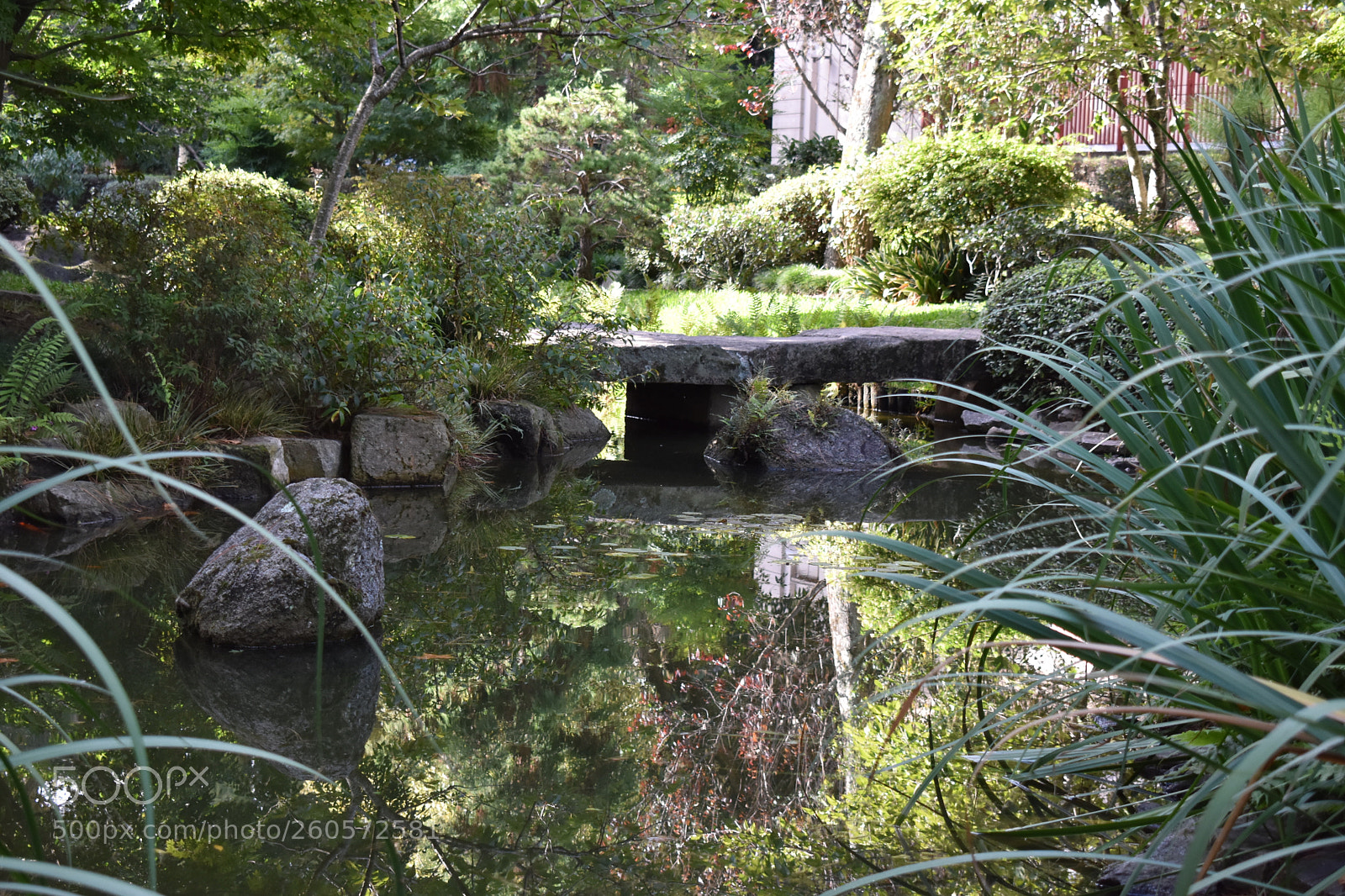Nikon D3400 sample photo. Dsc photography
