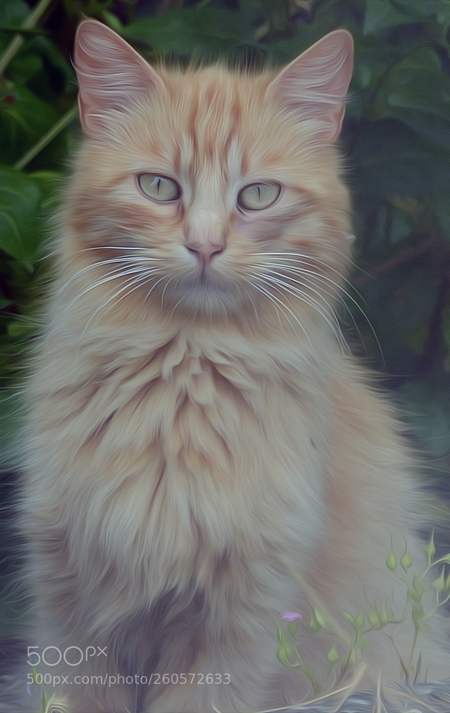 Nikon D7100 sample photo. Cat photography
