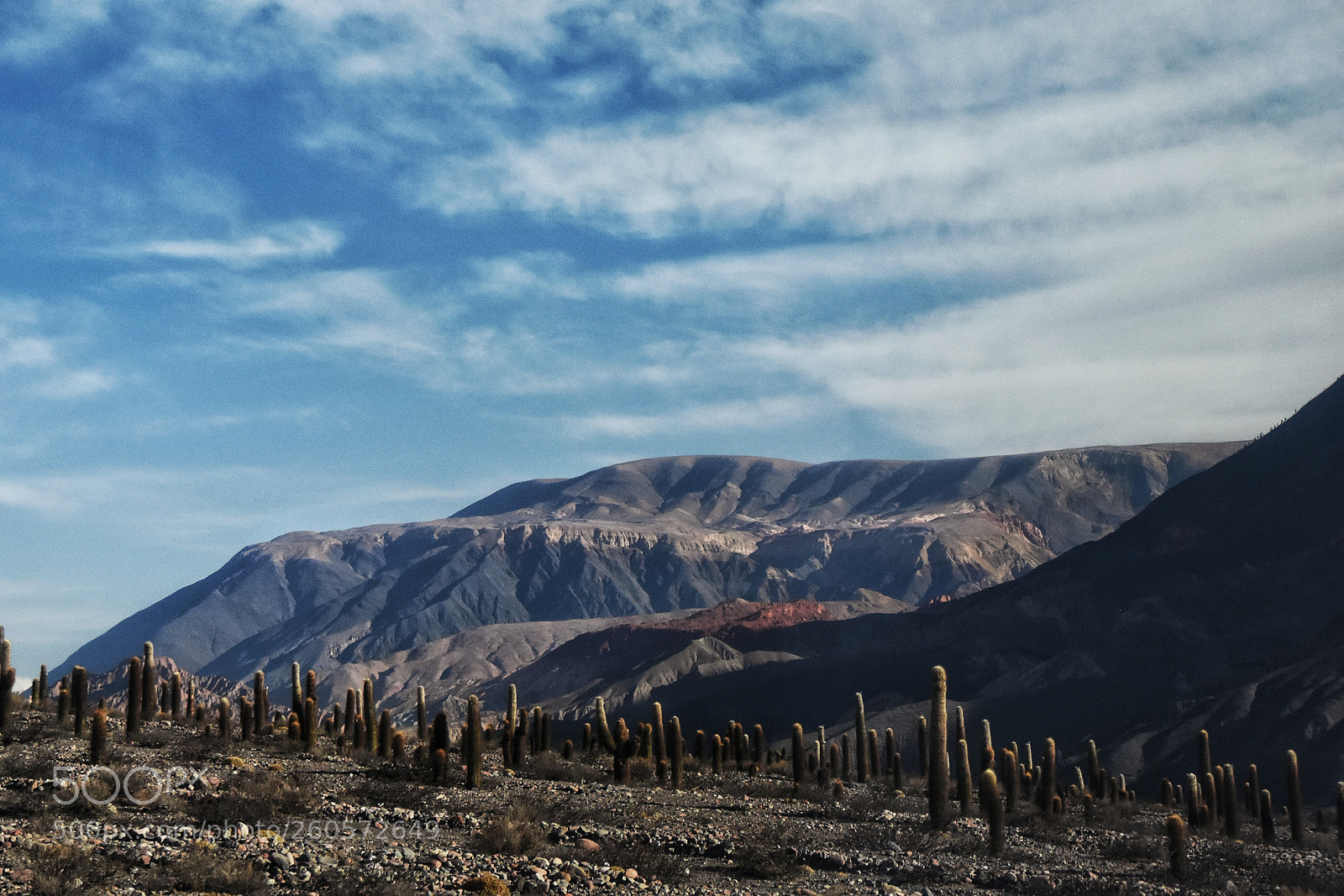 Nikon D7200 sample photo. Camino a san antonio photography