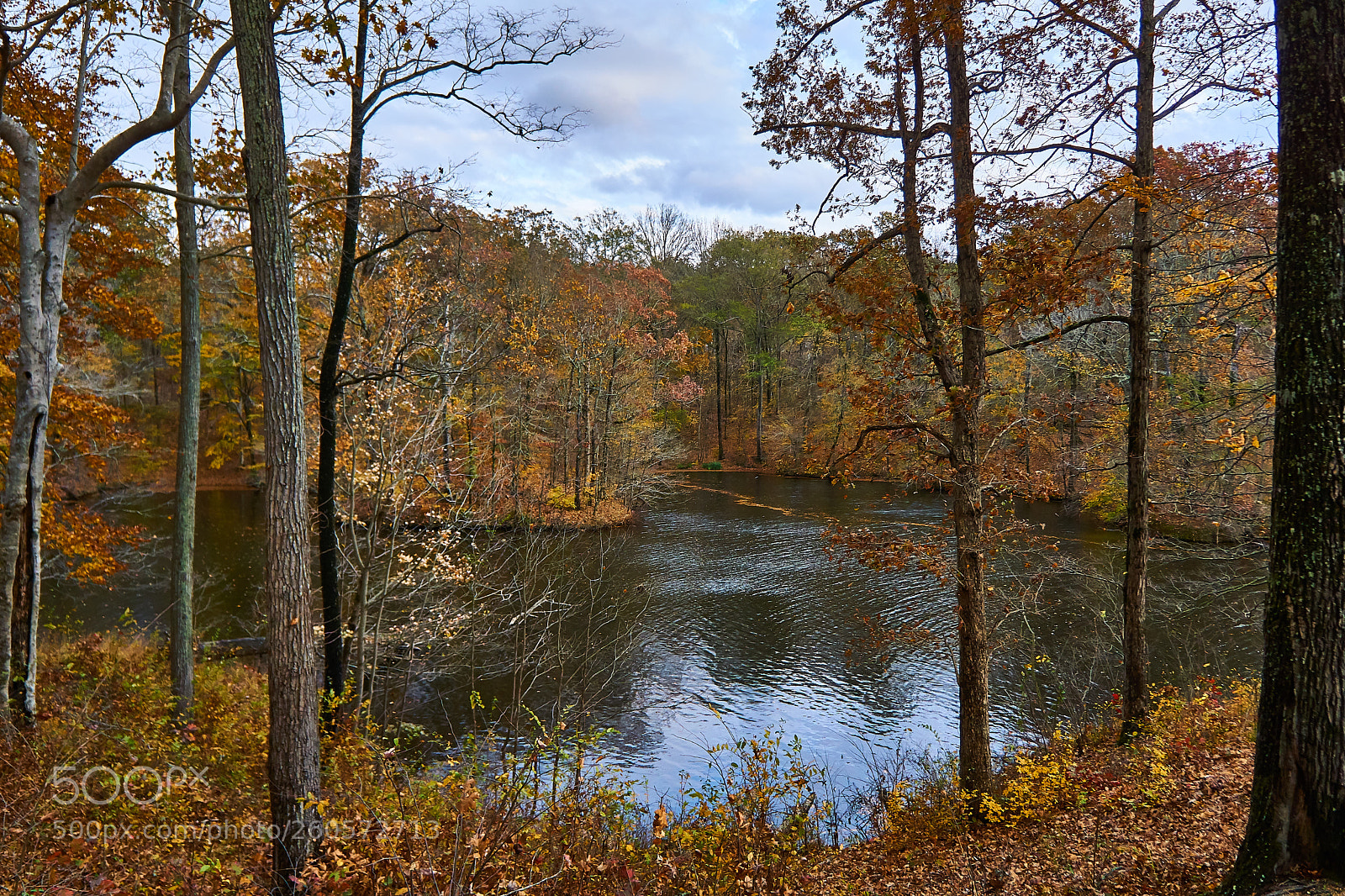 Sony a6000 sample photo. St francis national forrest photography