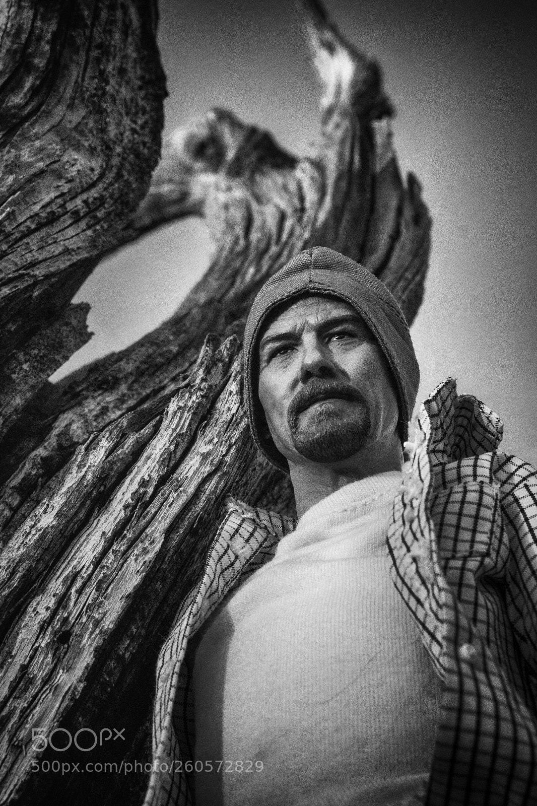 Sony a6000 sample photo. Gnarled photography