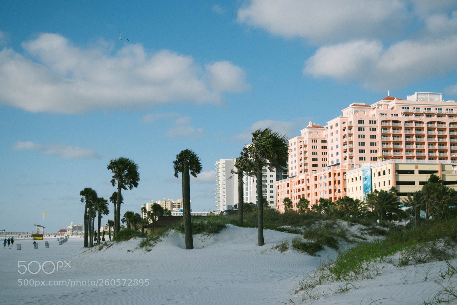 Nikon D5500 sample photo. Clearwater beach in the photography