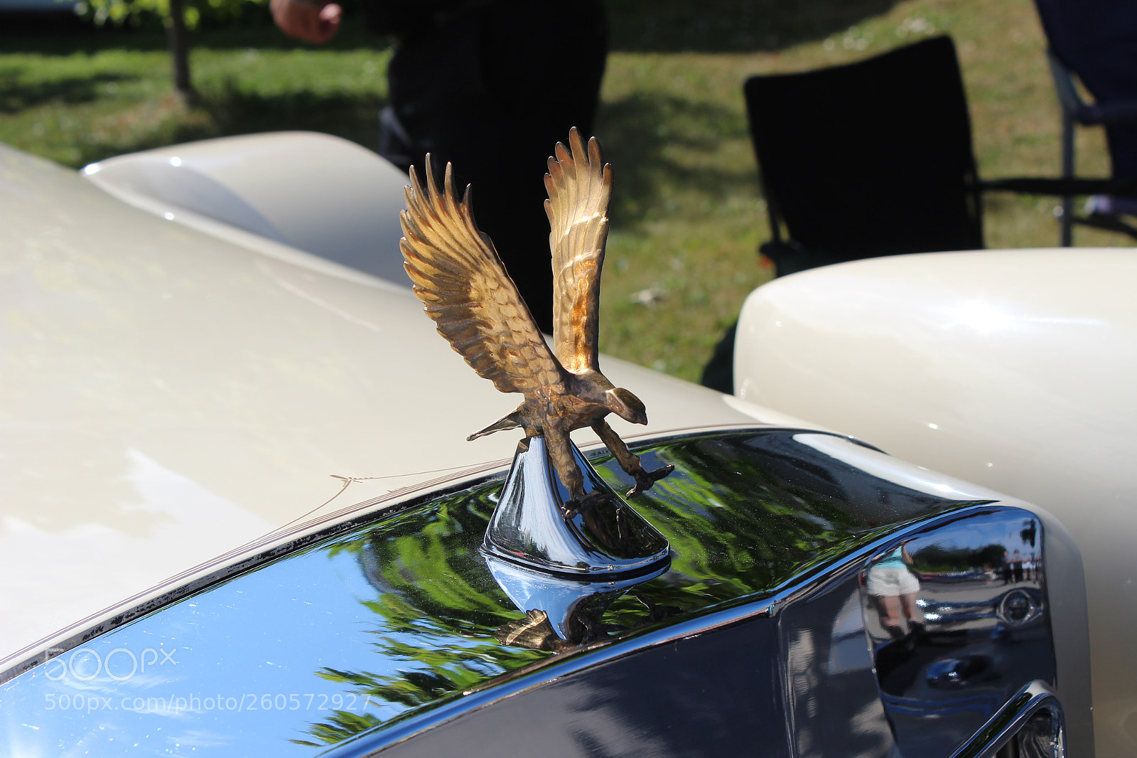 Canon EOS 1300D (EOS Rebel T6 / EOS Kiss X80) sample photo. Mighty eagle photography