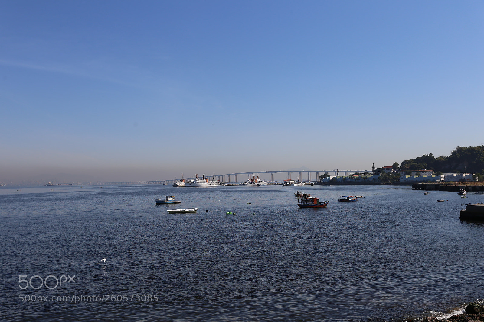 Canon EF 24-70mm F2.8L II USM sample photo. Untitled photography